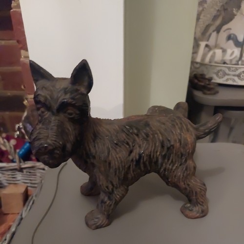 Cast iron terrier - terrier, door